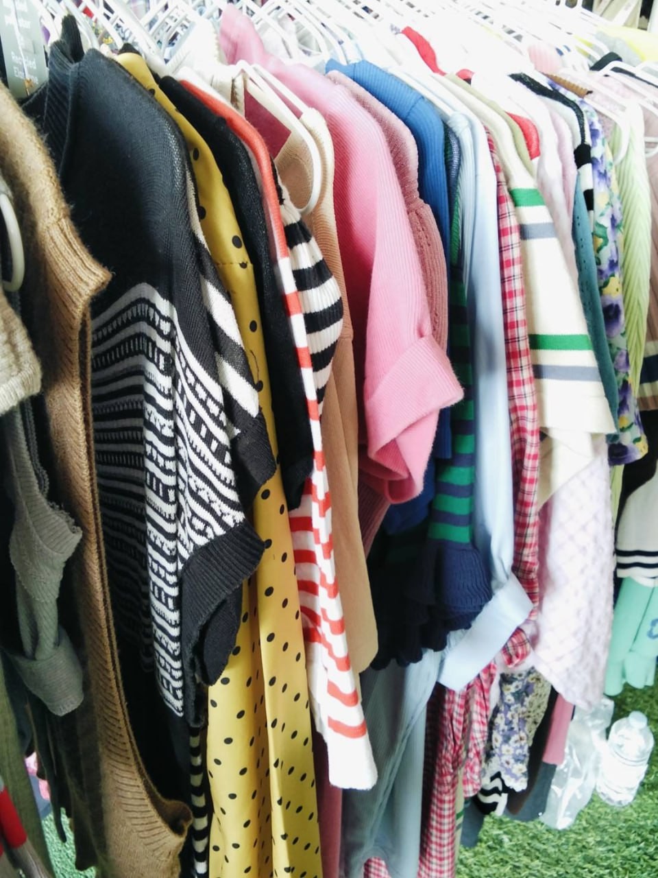 แอปเปิ้ล515-3